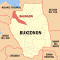 Baungon