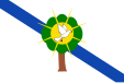 Flag of Morelia, Caquetá, Columbia