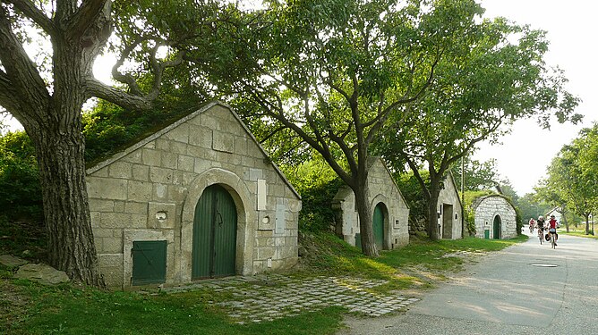 Kellergasse, Purbach in Neusiedlersee