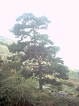 Near Granada, España