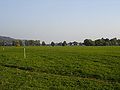 Water protection area near Dresden-Tolkewitz