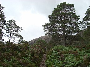 Beinn Eighe, Wester Ross, Scotland