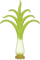 Leek (Wales)