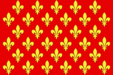 Flag of Prato, Italy