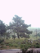 Near Granada, España