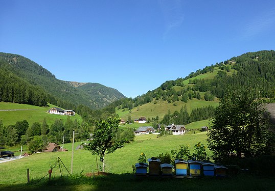 Upper Gurktal, Beehives.