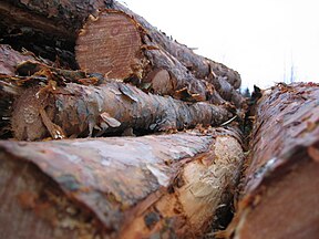 Logs