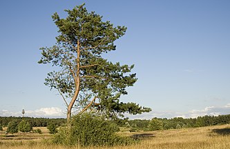 Hainberg, Germany