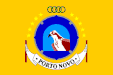 Flag of Porto Novo, Cape Verde (Common buzzard)