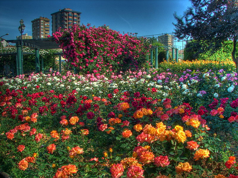 File:Goztepe Park 06773.jpg