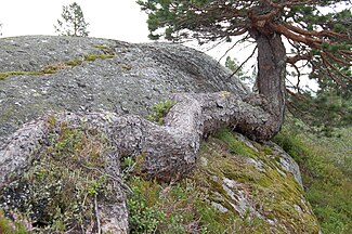 Blefjell, Norway