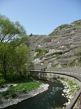 Vineyards on the rocks near Mayschoss, April 2011. Famous for red wines.