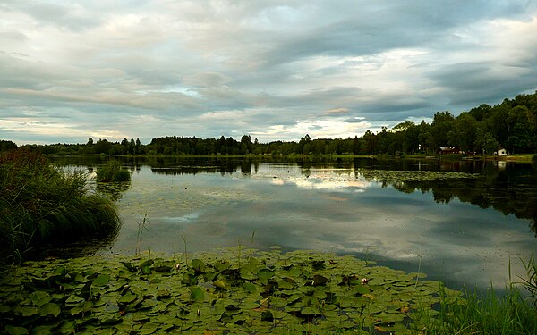 Bad Bayersoien lake July 2011 evening