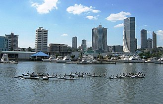 Brown Pelicans, Panama City