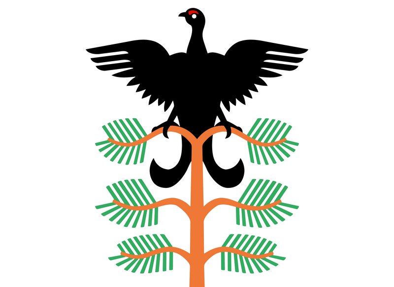 File:Flag of Hamar.png