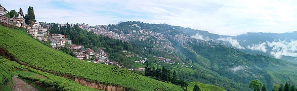 Darjeeling (Darjeeling district)