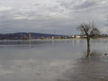 31st March: Water reaching a level of more than 7 metres at the Waldschlösschen