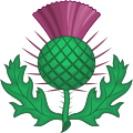 Thistle (Scotland)