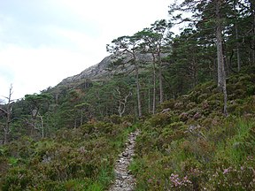 Beinn Eighe, Wester Ross, Scotland