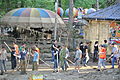 Tbilisi Flood, Volunteers inside the zoo photo: 2015-06-14.