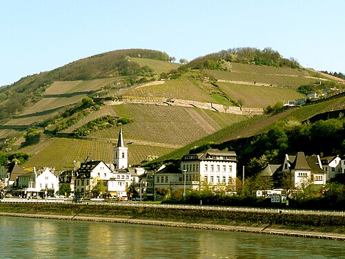 Assmannshausen in 2010, with so good rare red wines!