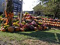 Halloween in New England