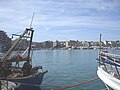 panorama di Anzio dal porto