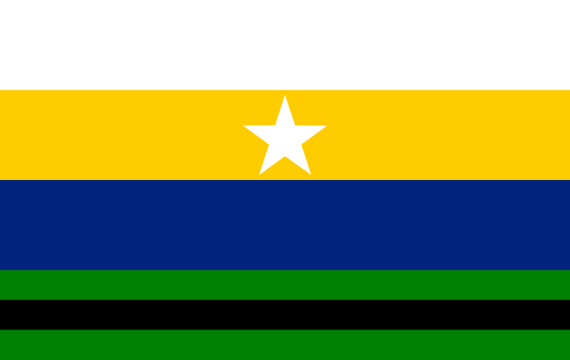 File:Bandera de Páez (Apure).svg