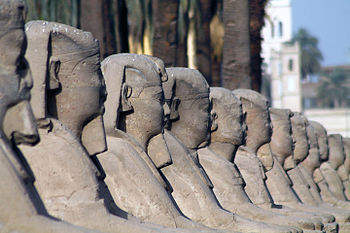 Elkebash Road in Luxor, Egypt Photograph: Mohammed Moussa