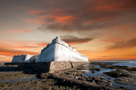 Forte dos Reis Magos (Fortress of the Three Wise Man) in Natal Photograph: Dante Laurini Jr Licensing: CC-BY-SA-4.0