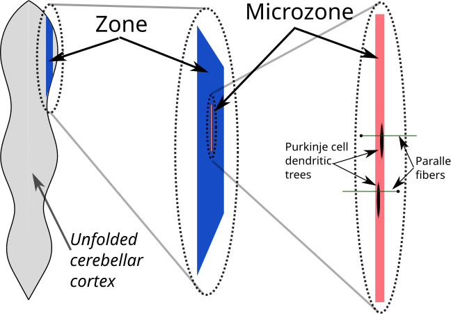 File:Microzone.svg