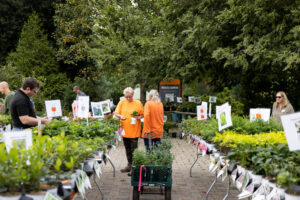 Two people in orange shopping for plants