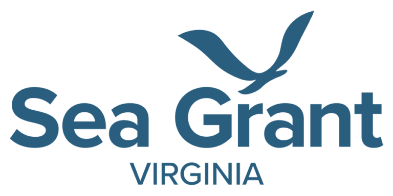 VASG Logo