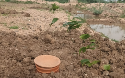 A 2,000-yo Irrigation System is Being Revived in North Karnataka