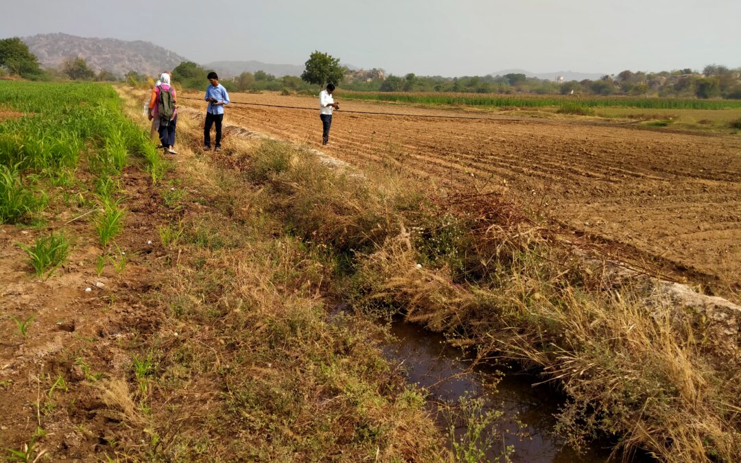 A parched field in Mandalgudda village in Raichur. This is one of the villages where we conducted a journey mapping survey to understand the socio-economic status of farmer households in the region.