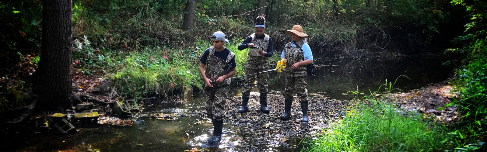 Water quality monitoring - Hawthorn Hollow