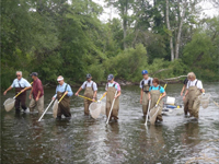 Photo of Ozaukee Co. fish monitoring