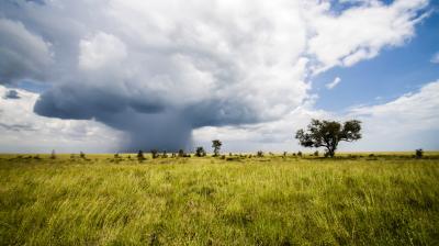 Serengeti, Tanzania