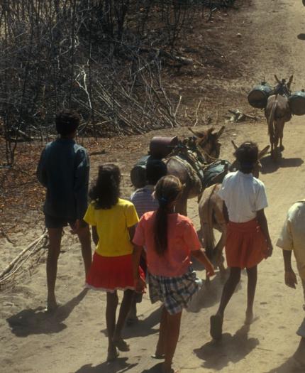 A group of people walking on a dirt path with donkeys carrying goods, surrounded by dry shrubs.