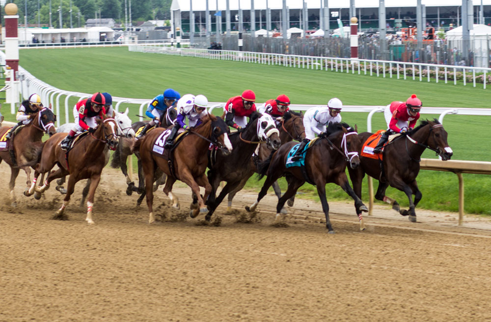 Horses running the Kentucky Derby at Churchill Downs