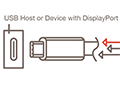 VESAUSB Type-CפDisplayPortαǽˤDisplayPort Alternate Mode