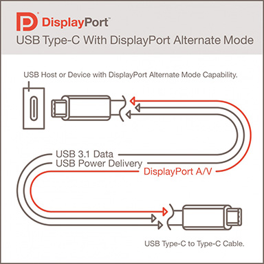 #002Υͥ/VESAUSB Type-CפDisplayPortαǽˤDisplayPort Alternate Mode