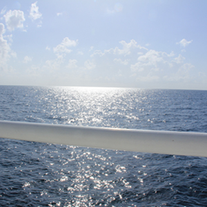 View from the Deck of the Walton Smith