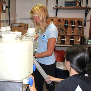 Kelly and Sierra processing samples