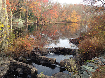 Lisa Havel fish passage CT