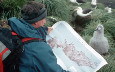 Biologist using a BAS map of Bird Island during field work