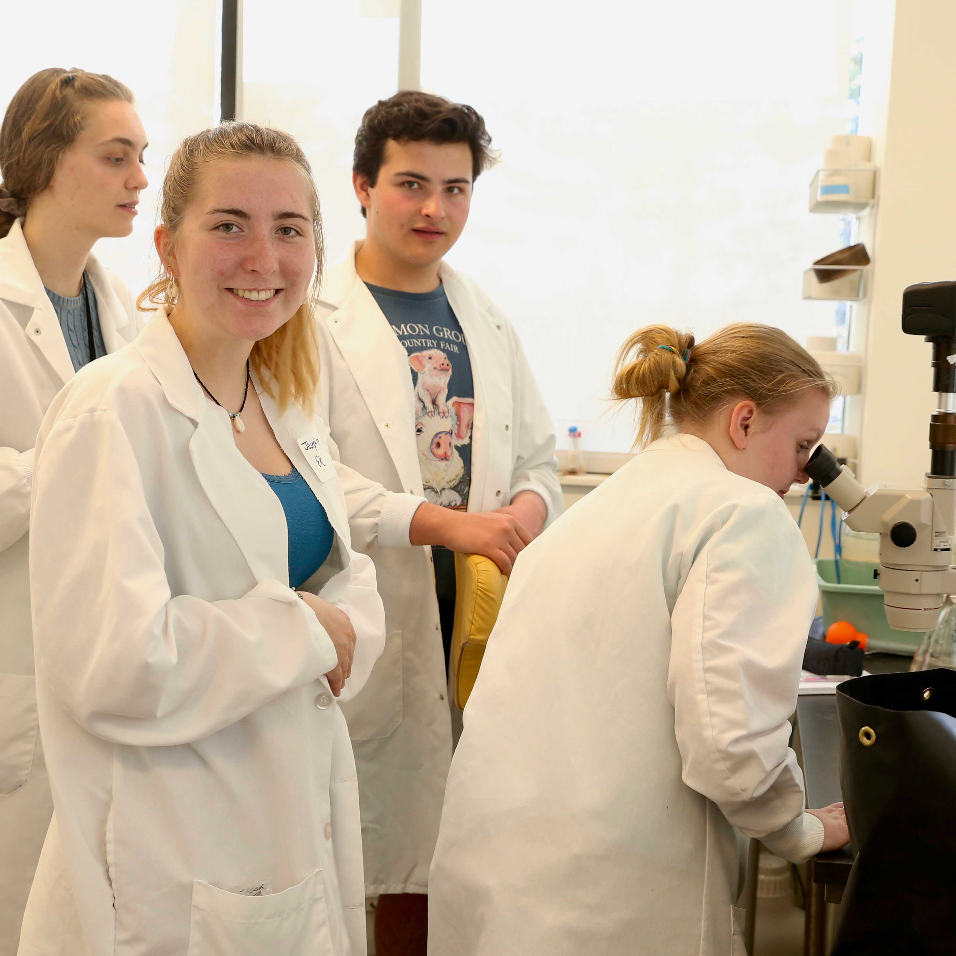 Students in a lab at Bigelow.