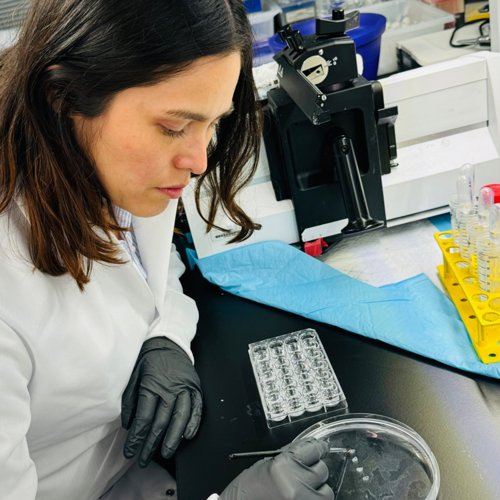 A female scientist in the lab.