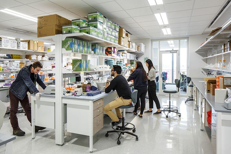 Photo of students working in a Boston University Bioinformatics lab