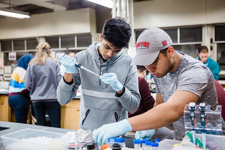 Photo of two students working in a bioinformatics lab at Boston University